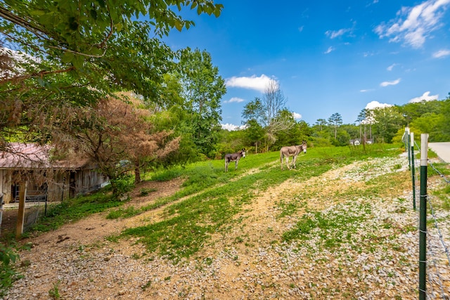 view of yard with a rural view