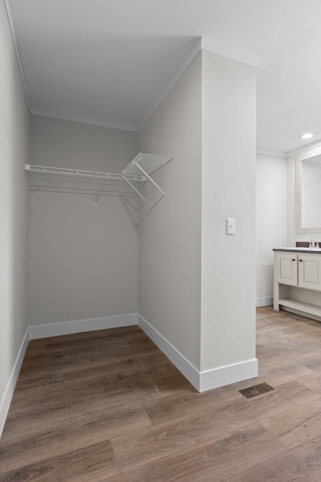 walk in closet with sink and wood-type flooring