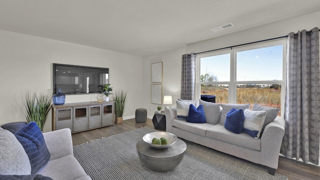 living room featuring dark wood-type flooring