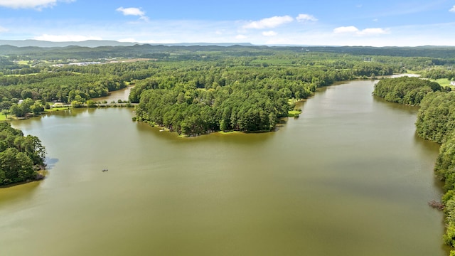 drone / aerial view with a water and mountain view