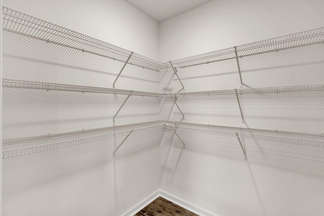 spacious closet featuring dark wood-type flooring