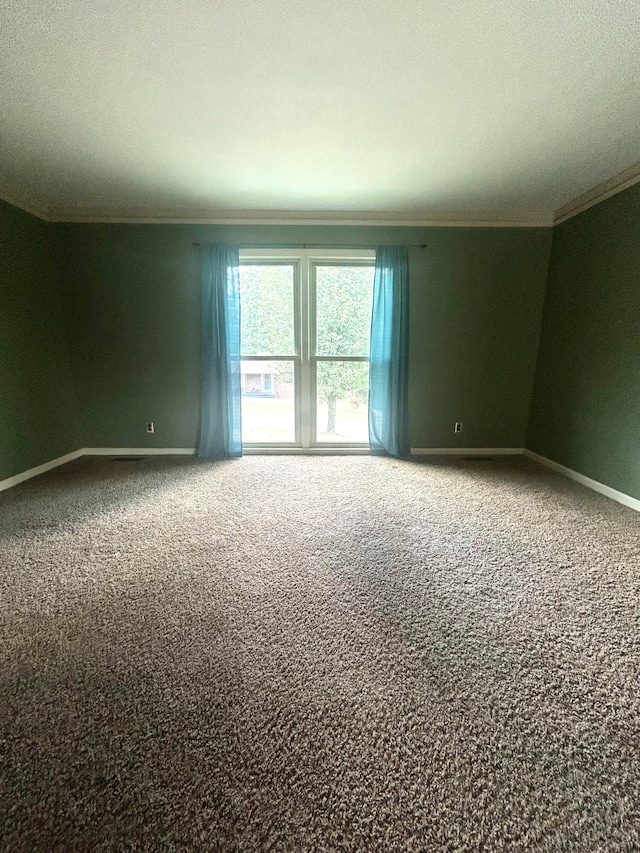 spare room featuring carpet and ornamental molding