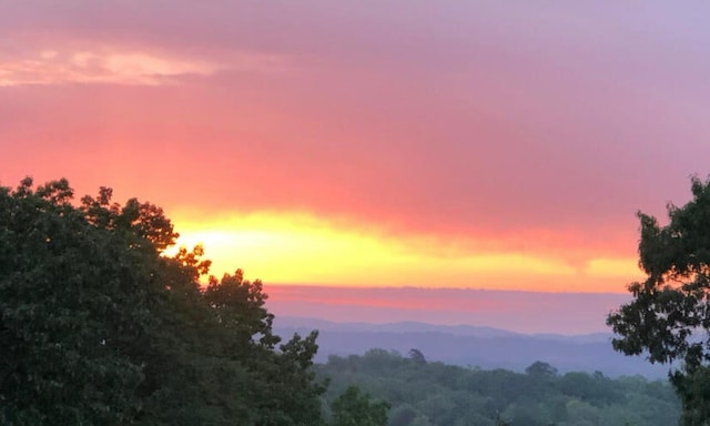 view of nature at dusk