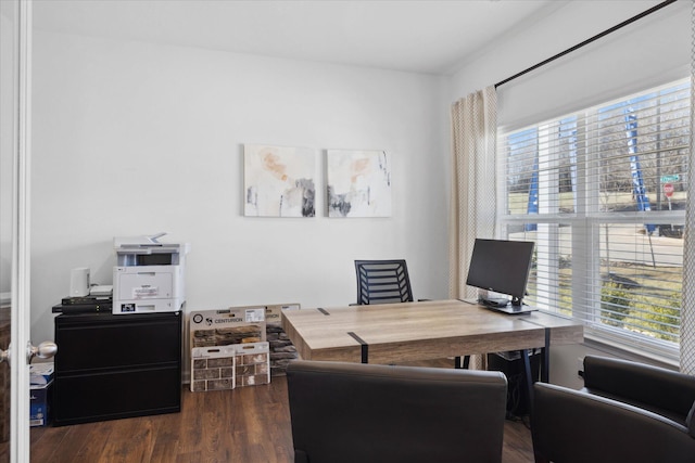 home office featuring dark hardwood / wood-style flooring