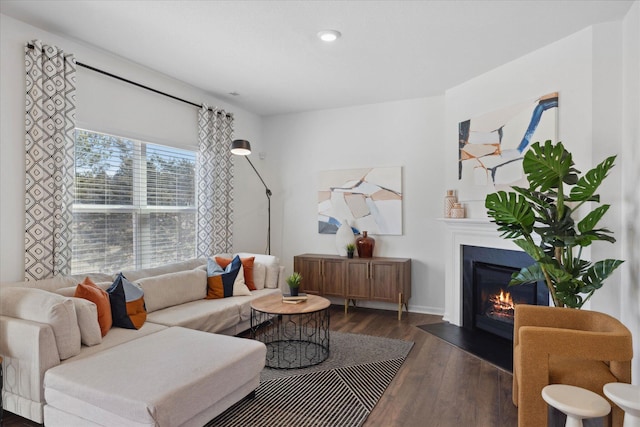 living room with dark hardwood / wood-style floors