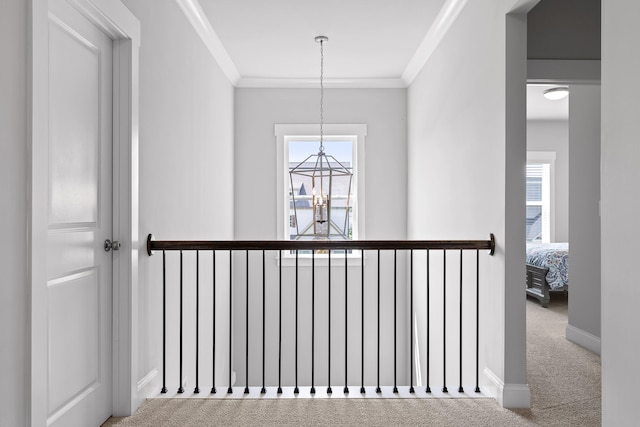 stairway with an inviting chandelier, crown molding, and carpet floors