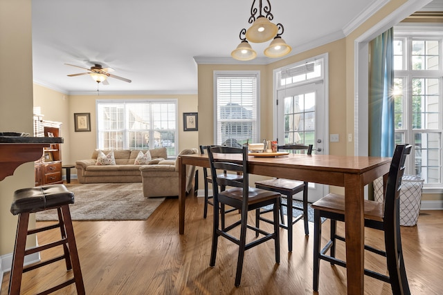 dining area with ornamental molding, ceiling fan, and light hardwood / wood-style floors