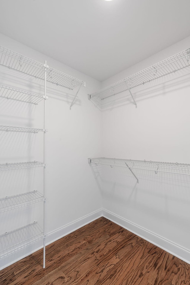 spacious closet with hardwood / wood-style floors