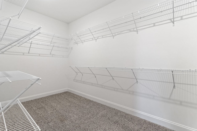 spacious closet with carpet floors