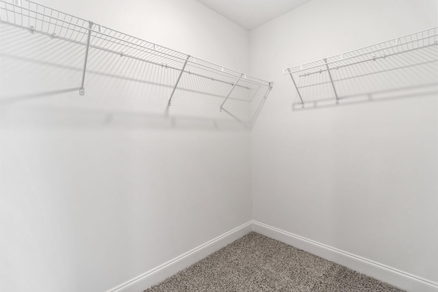 spacious closet with carpet flooring