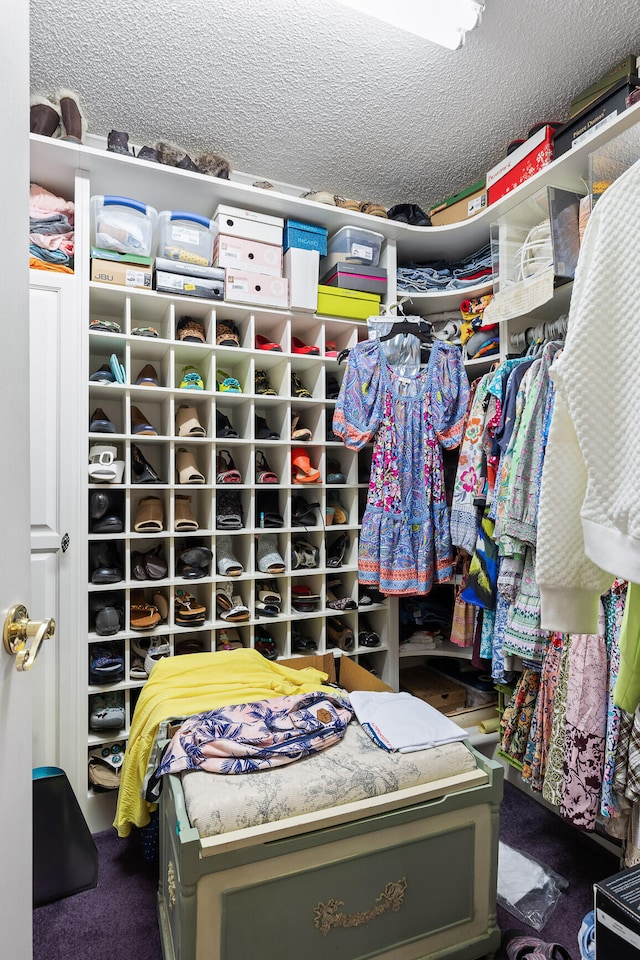 walk in closet featuring carpet