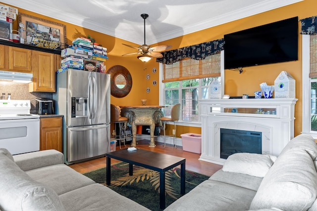 living area featuring a ceiling fan, crown molding, a glass covered fireplace, and dark wood-type flooring