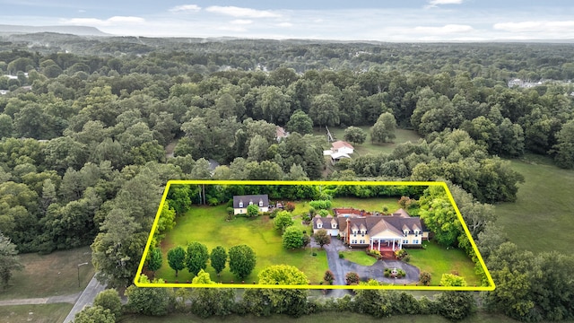 bird's eye view with a view of trees