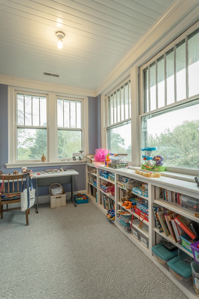 game room featuring ornamental molding, a wealth of natural light, and carpet