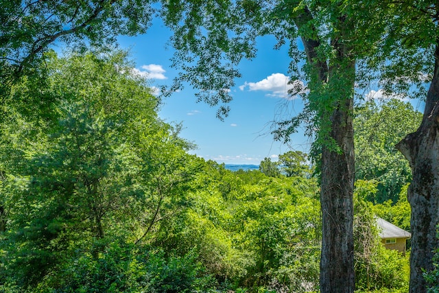 view of local wilderness