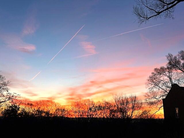 view of nature at dusk