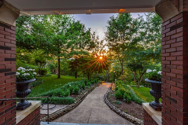 view of yard at dusk