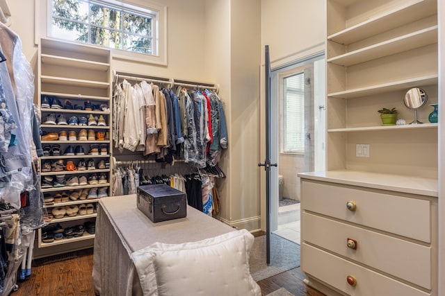 spacious closet with dark wood-type flooring