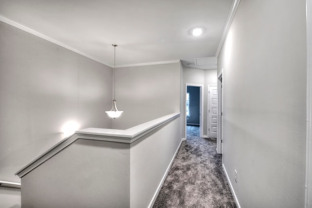 hallway with carpet and crown molding