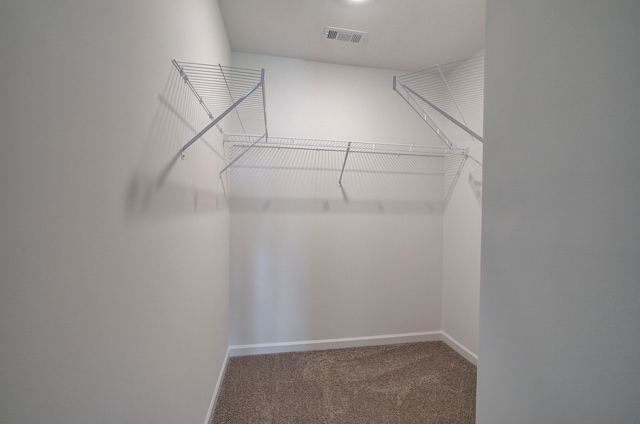 spacious closet with carpet