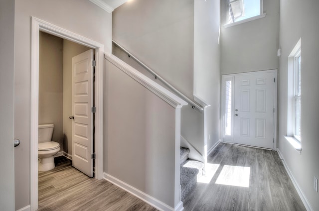 foyer entrance with a towering ceiling, a wealth of natural light, and light hardwood / wood-style floors