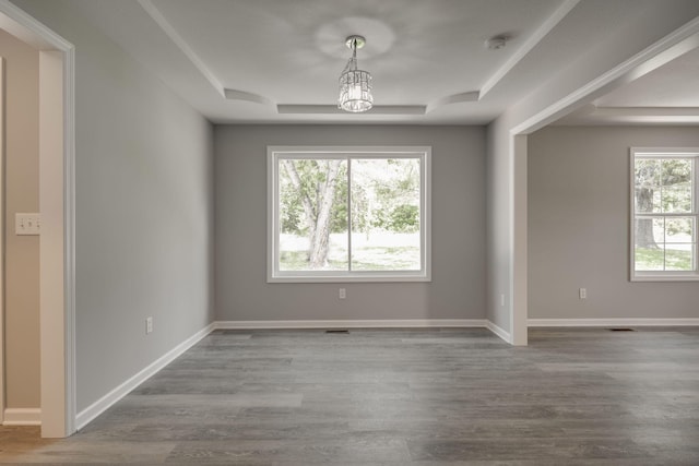 unfurnished room with a tray ceiling, wood-type flooring, and a chandelier