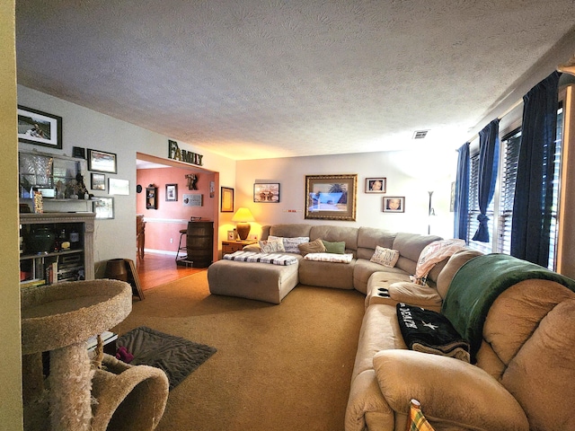 living room with carpet flooring and a textured ceiling