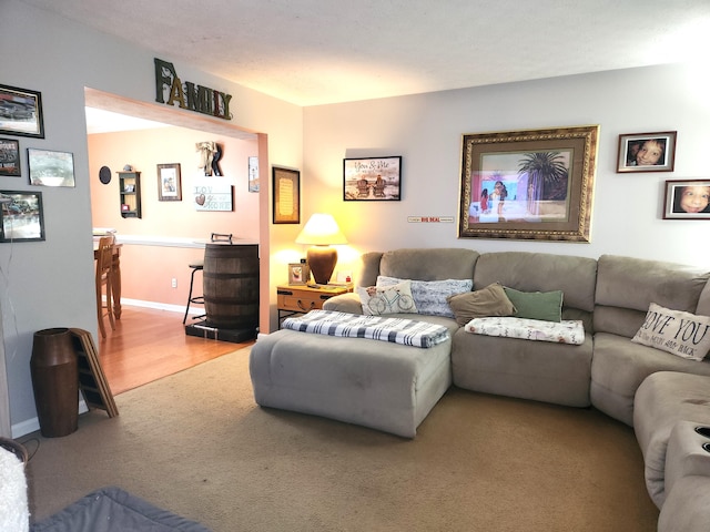 living room featuring light hardwood / wood-style floors