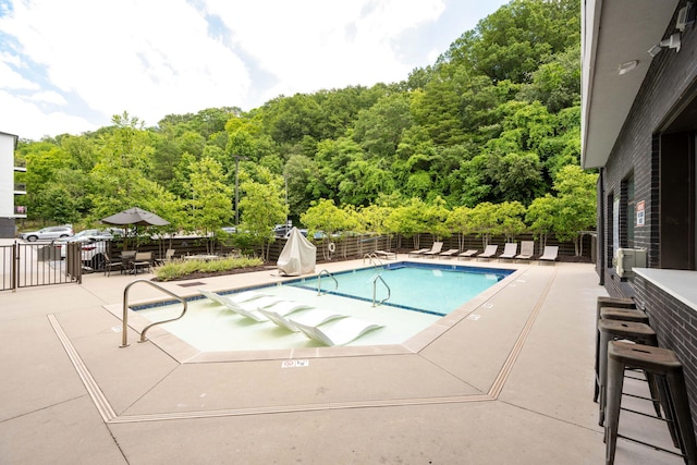 view of pool with a patio