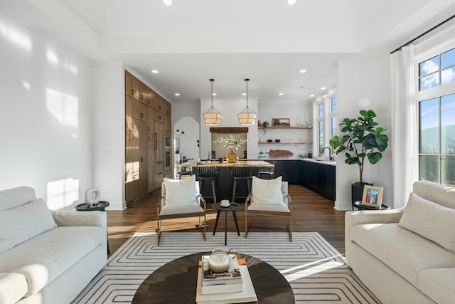 living room featuring sink and dark hardwood / wood-style flooring