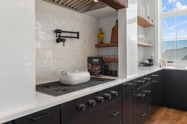 kitchen with light hardwood / wood-style flooring, custom range hood, and backsplash