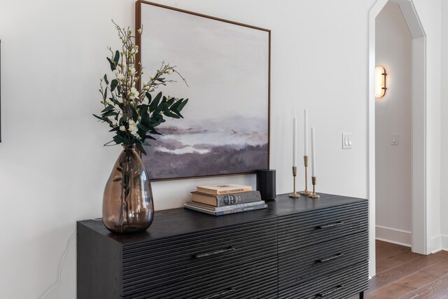 room details featuring wood-type flooring