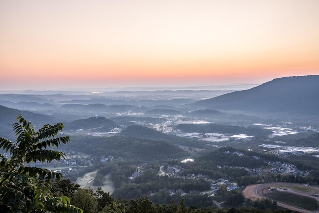 view of mountain feature