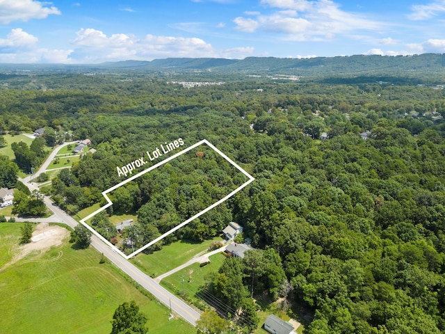 bird's eye view with a wooded view