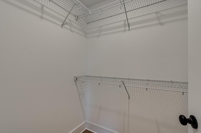 view of walk in closet