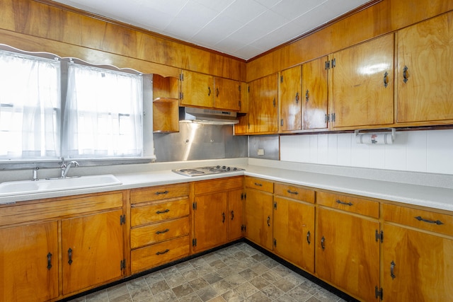 kitchen featuring sink and white electric stovetop