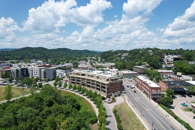 aerial view with a mountain view