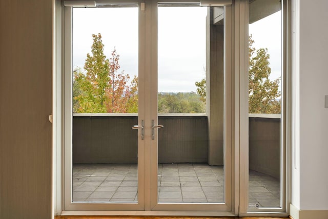 entryway with a wealth of natural light