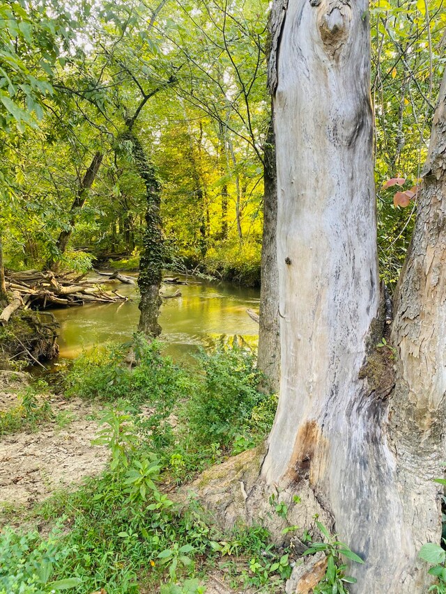 view of nature