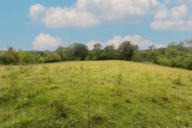 view of local wilderness featuring a rural view