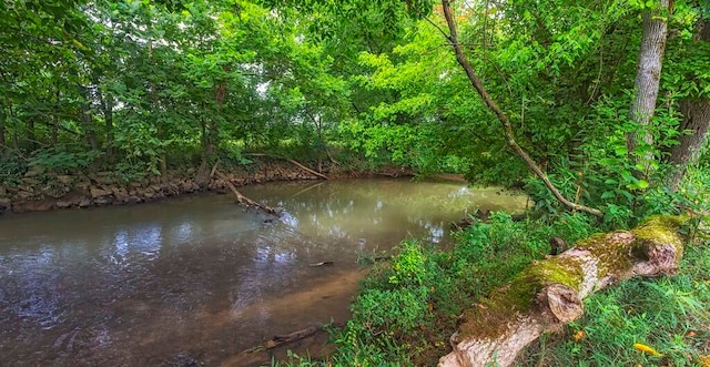 view of nature featuring a water view