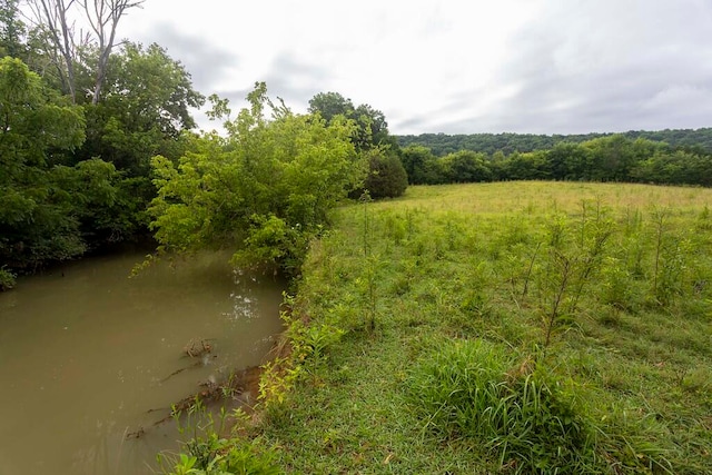 view of local wilderness featuring a water view