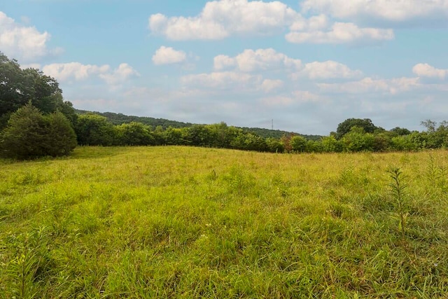 view of landscape with a rural view