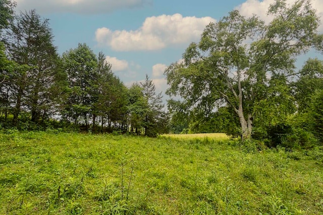 view of landscape