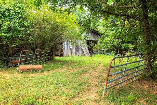 view of yard