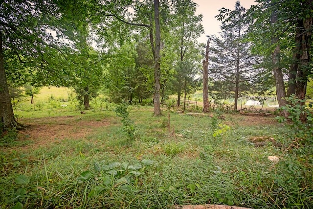 view of local wilderness with a rural view