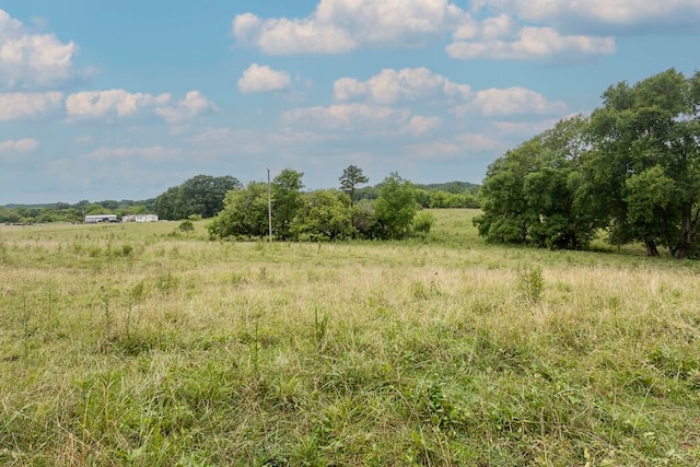 view of local wilderness with a rural view