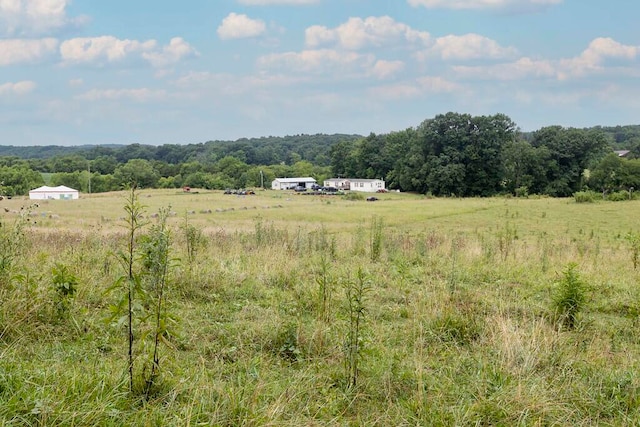 view of local wilderness with a rural view