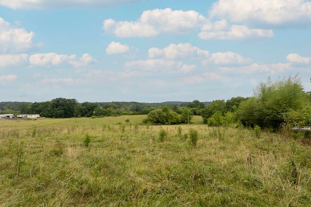 view of local wilderness featuring a rural view