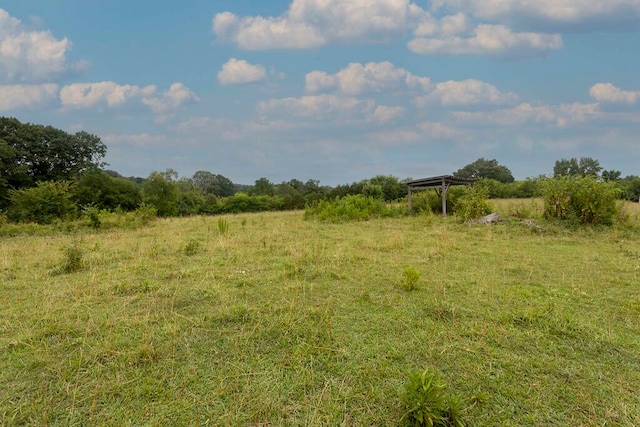 view of local wilderness featuring a rural view